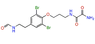 Ceratinine D